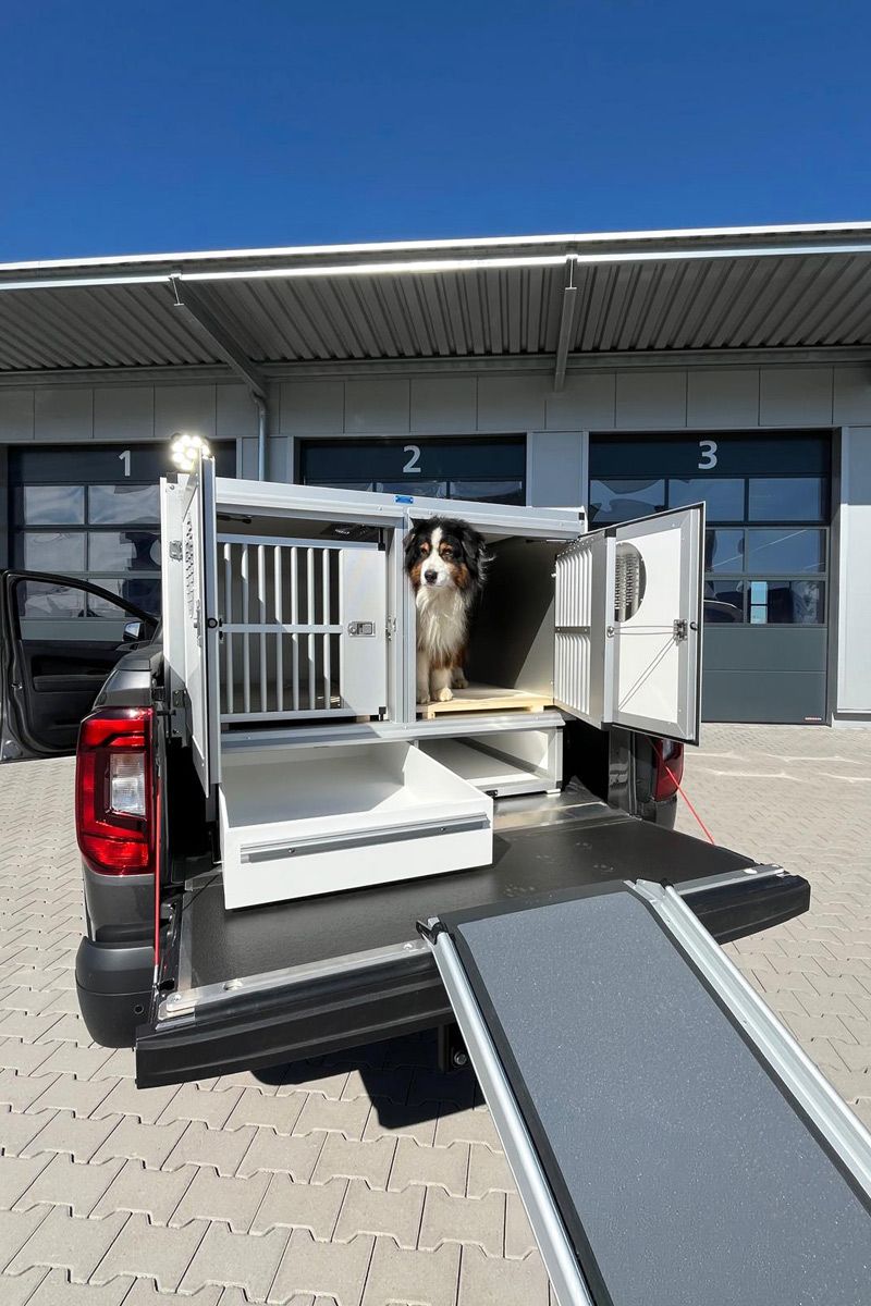VW Amarok mit Doppel-Hundebox