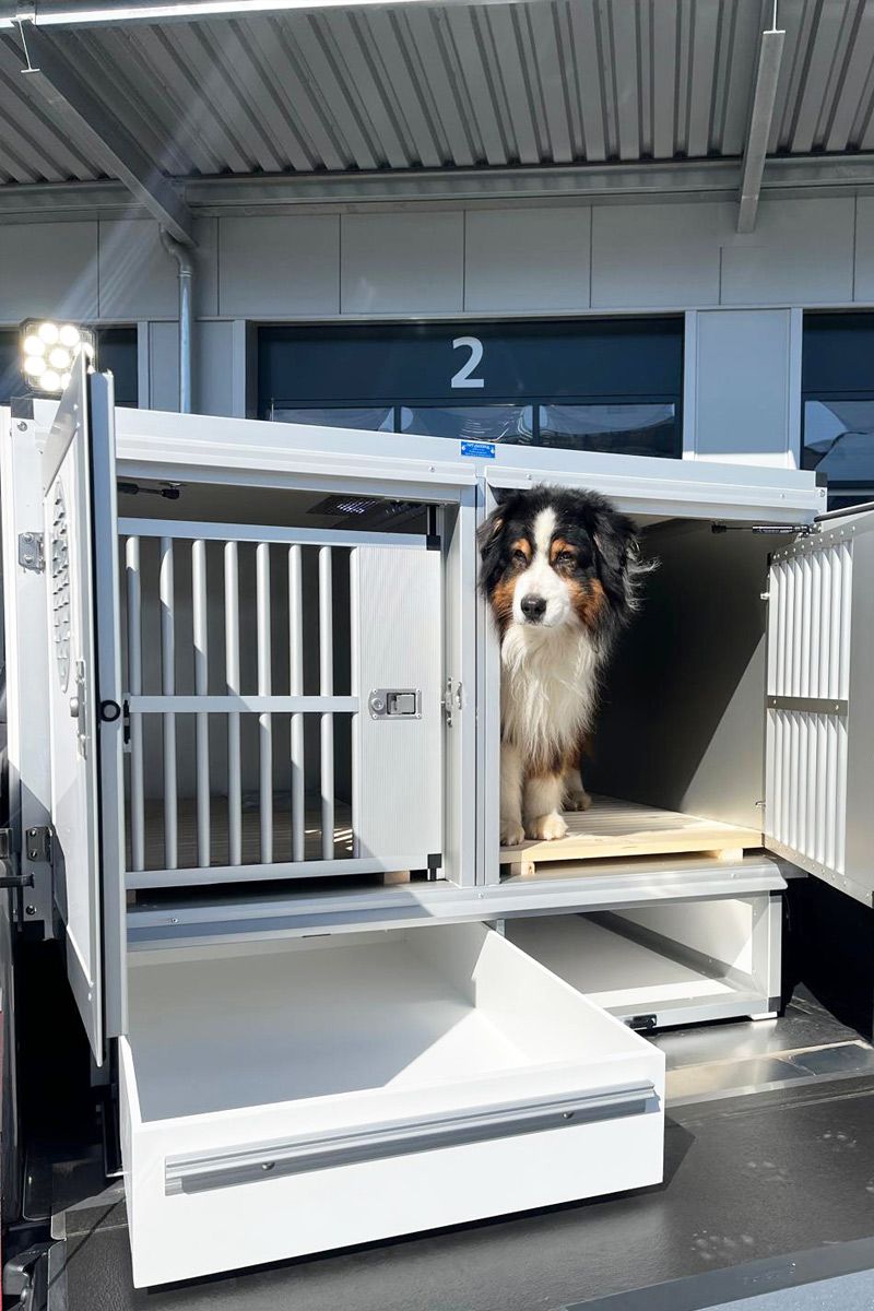 VW Amarok mit Doppel-Hundebox