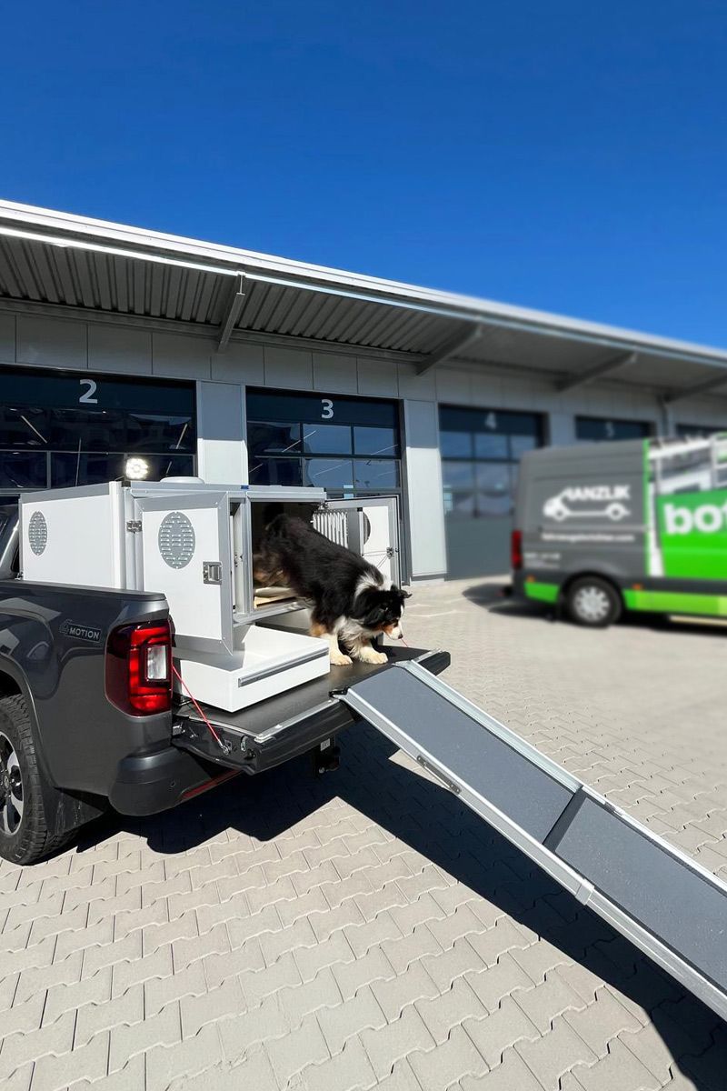 VW Amarok mit Doppel-Hundebox
